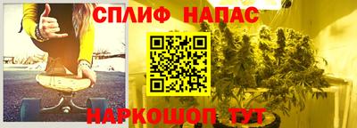 дмт Белореченск